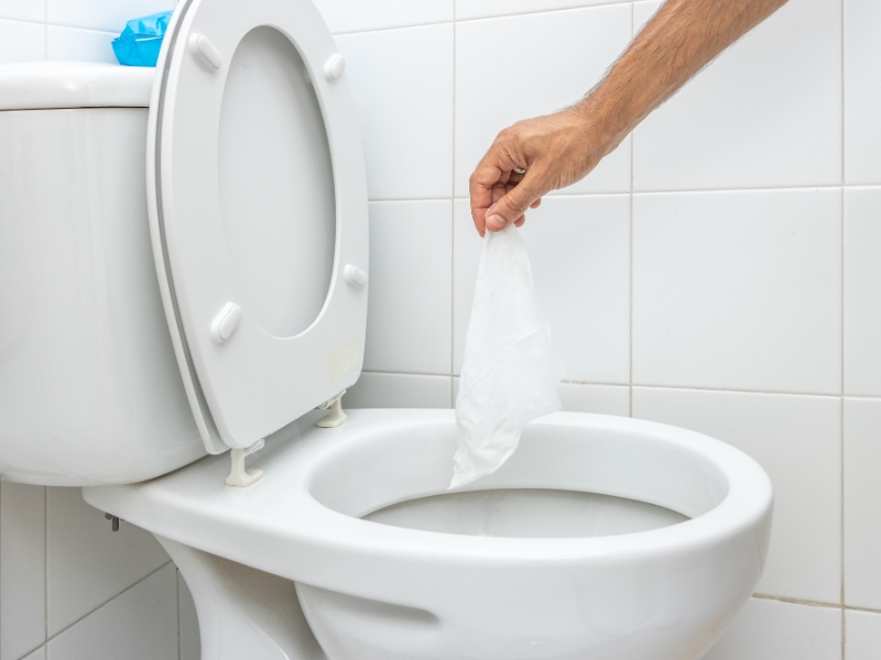 are toilet wet wipes biodegradable