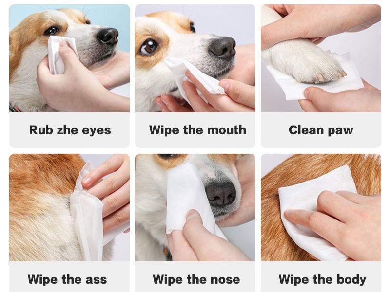 can you use wet wipes on dogs