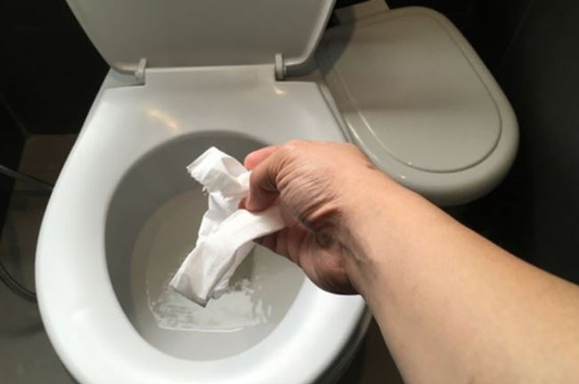 why shouldn't you flush wet wipes